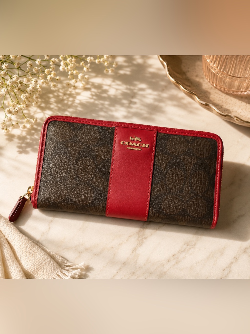 Coach Accordion Zip Wallet in Signature Canvas